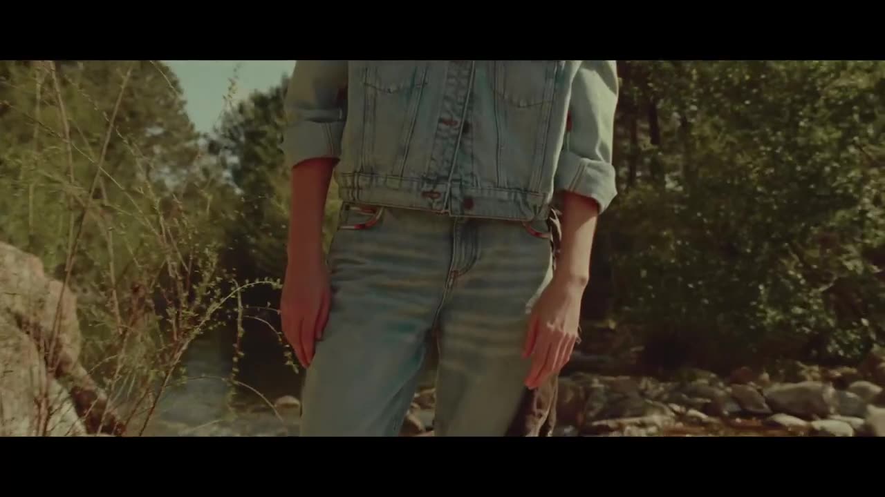 The New Western