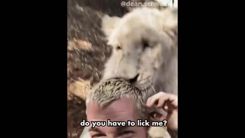 Pet Hurt The Owner