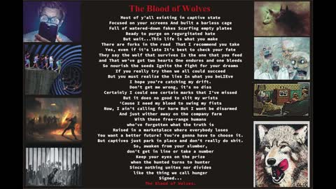 {Spoken Word Poetry} The Blood of Wolves (2020)