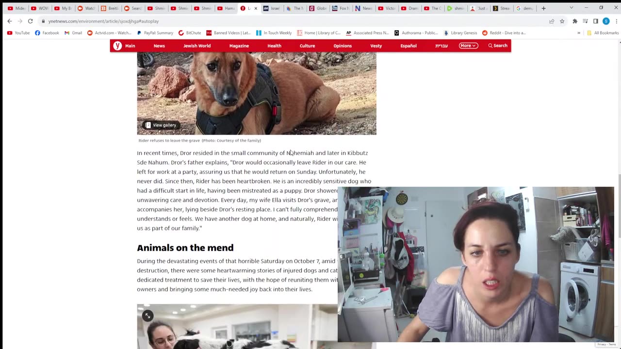 How Gazan "CIVILIANS" joined in murdering Jews on Oct 7, burst the bubble, oct/25/2023