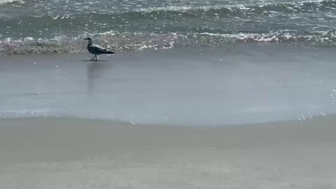 60 Second Vacation: Beach Life 9/11/2021