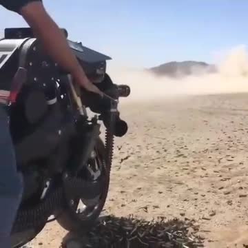 ochrona przed agresją zaszczYpionych