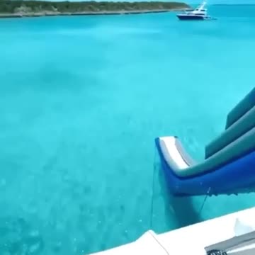 what a delight of the sea