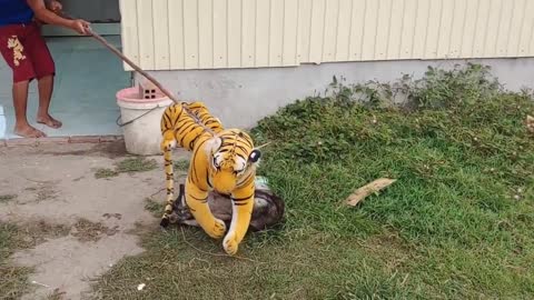 HAHHAAH fake tiger prank Dog Funny Prank Video 2021