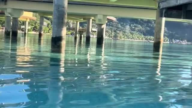 I got bitten by this fish!
