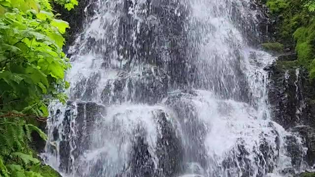 Waterfall in the nature