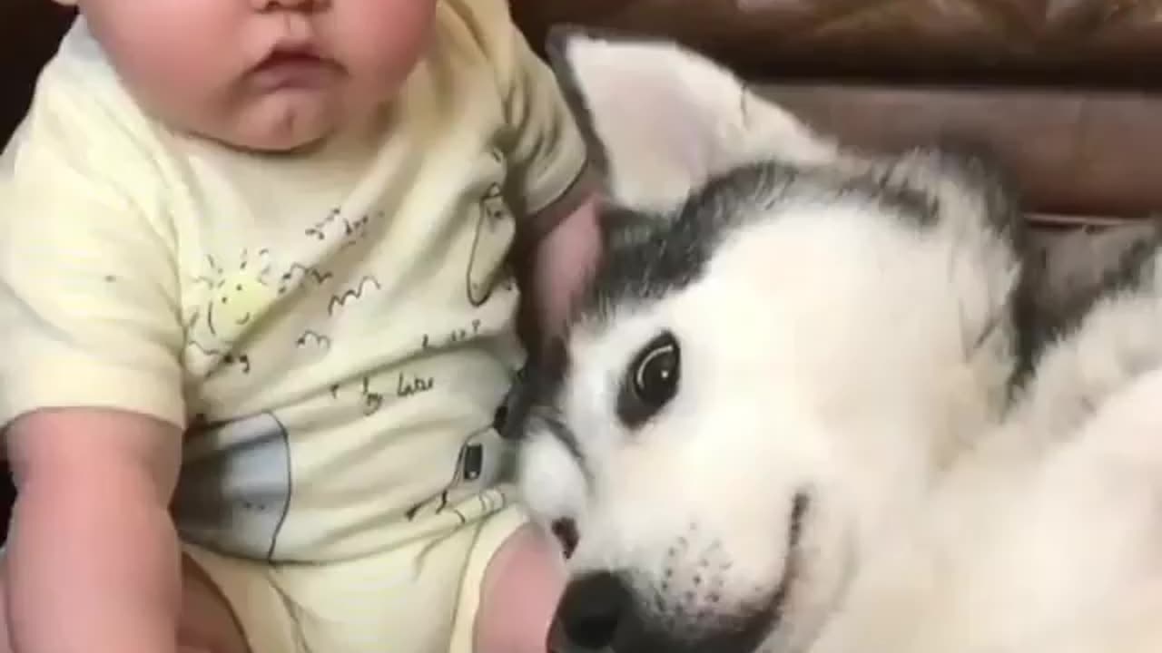 Cute Baby 😍 & Cute Dog 🐶| Please Follow Me