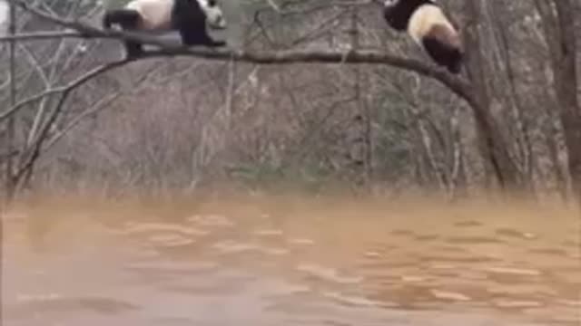 Wait for it 😨