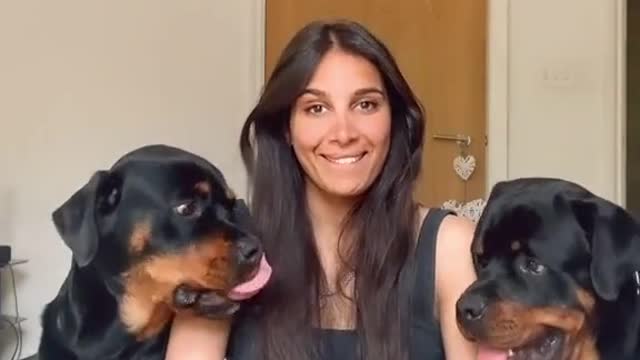 Watch what happens when you put your face between two Rottweilers