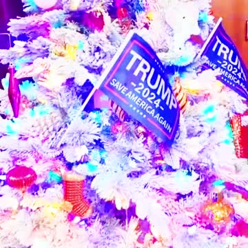 BEAUTIFUL!!!😍🎄🎄🎄