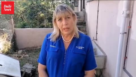 Cat rescuer ‘left’ 20 cats for dead