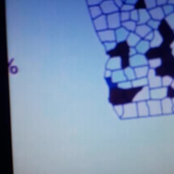 INTERNATIONAL WIDE ELECTION FRAUD VOTING MACHINE CRIME, GEORGIA RUNOFF SHAM ELECTION CRIME 6