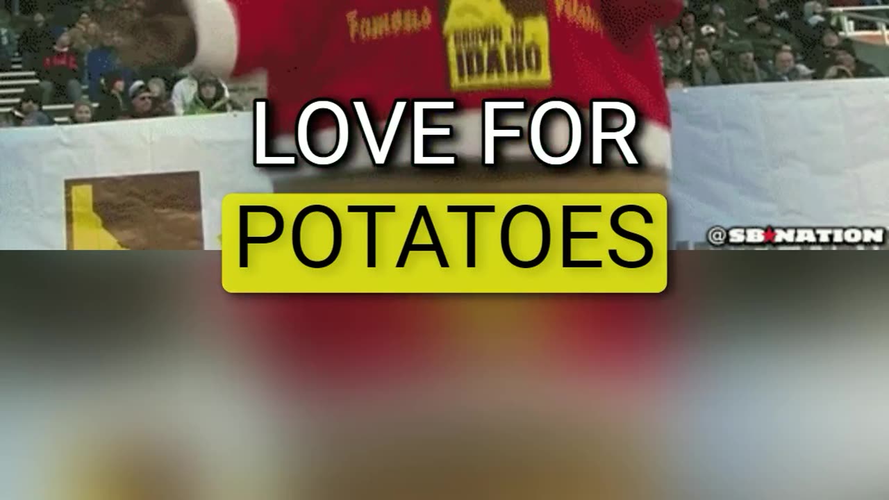 A Potato Lover's Dream - Build A Spud