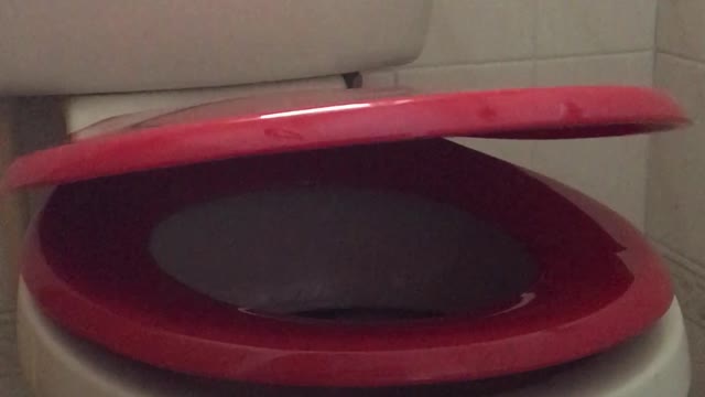 Funniest "quiet closing" toilet lid ever