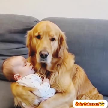 Trending🔥🔥 funny😝 video