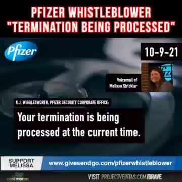 ‘Fetal Cell’ Whistleblower Melissa Strickler has been TERMINATED.