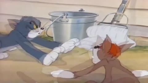 Tom with Jerry Funny