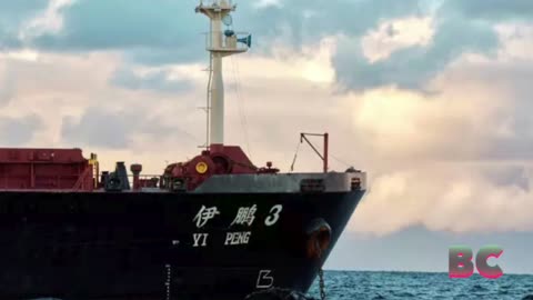 Swedish police board Chinese ship in probe over severed cables