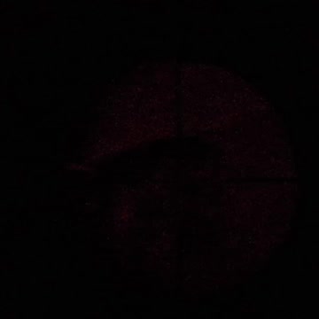 The the red light hit you