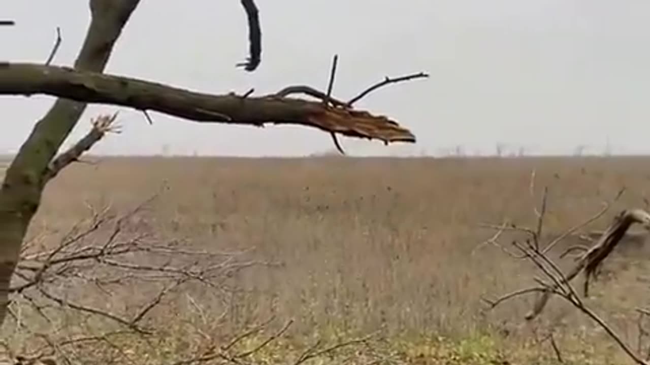 🌳 🚀 💥 Ukraine Russia War | Ukrainian Javelin Targets Russian Armoured Vehicles from a Tree | RCF