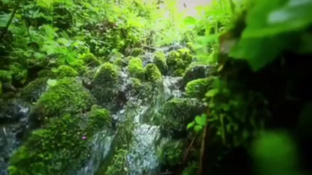 Time with God - November 9