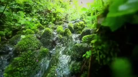 Time with God - November 9