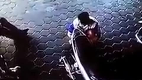 Dad saves two kids from getting ran by a car