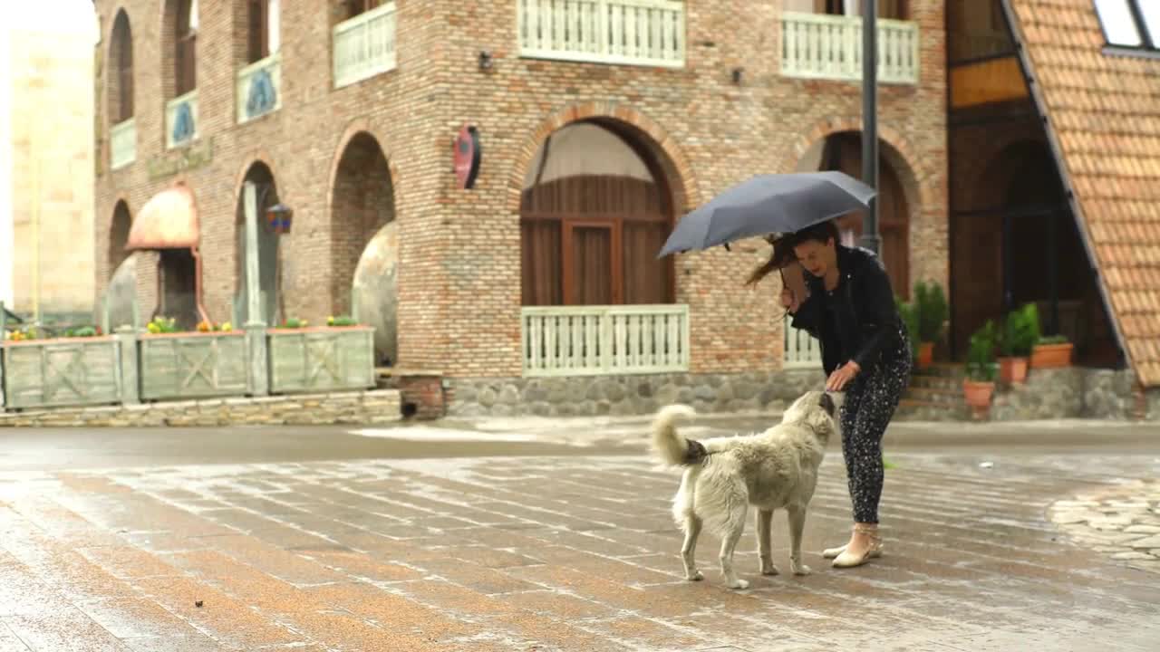 young woman with umbrella walks with the dog