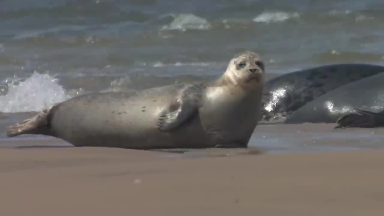 They were filming the ocean when something you can only see once in a lifetime happened.