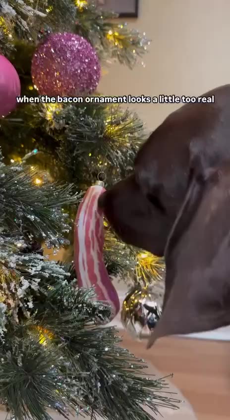 Bacon Christmas tree ornaments not cool