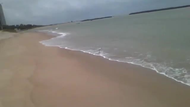 A garça branca aproveita a praia para refrescar os pés, isso é que é vida! [Nature & Animals]