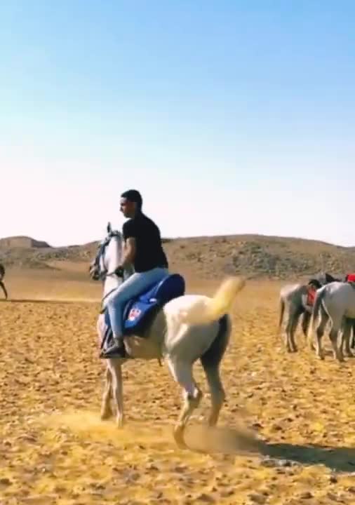 فرس تمشي على الارجل الخلفيه Un cheval marchant sur les pattes arrière