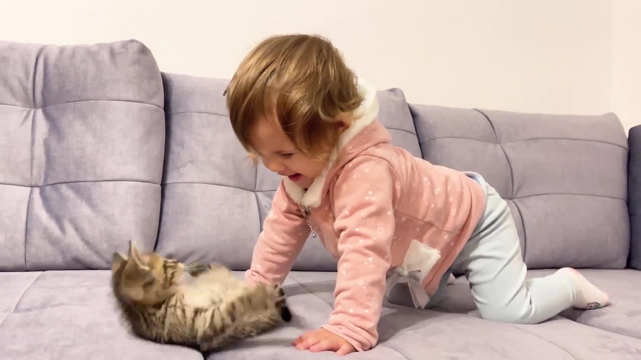 baby jugando con el lindo gatito