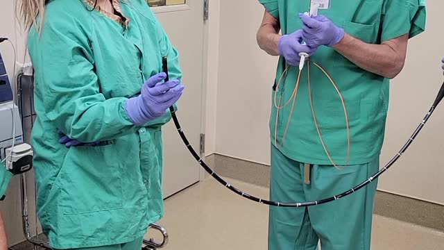 Cold Biopsy Forceps Training
