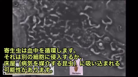 コロナワクチンに入れられた寄生虫トリパノソーマの実態