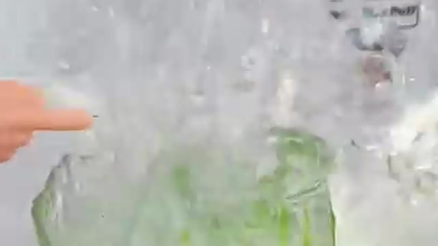Taking things next level cat funny video