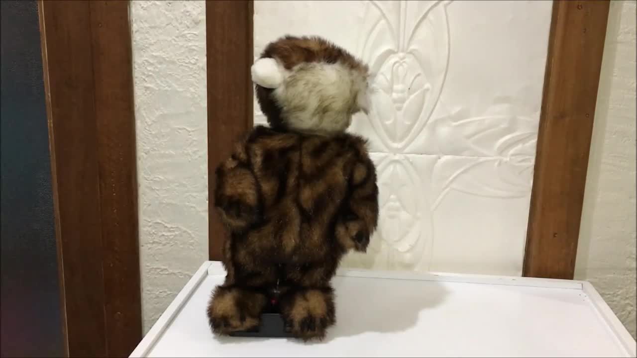 Singing Beaver Toy