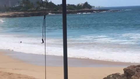 Wave Takes Out Unsuspecting Swimmer