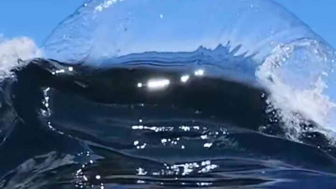 Ocean Waves