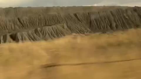 Incredible Combat Footage from Extreme Tourism Company