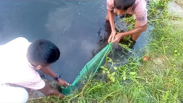 Fishing of the children of the villages of Bangladesh