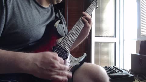 Cannibal Corpse (Guitar Cover) - Staring Through The Eyes of The Dead
