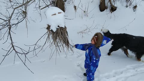 Boy and Dog - Two Superheroes Stand Against a Flying Alien from Mars