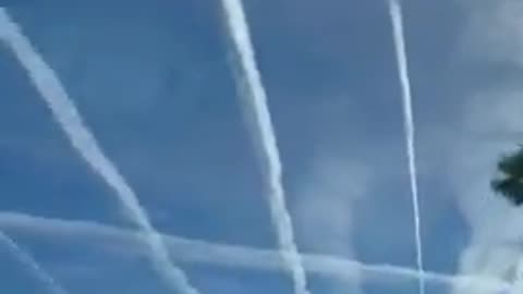 They're Trying To Kill Everyone Here