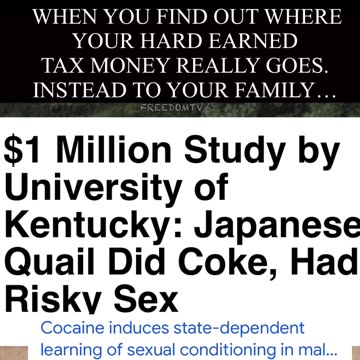 Where your money really goes