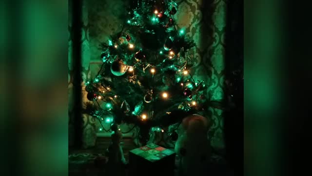 Beautiful christmas tree for a good mood