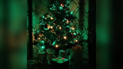 Beautiful christmas tree for a good mood