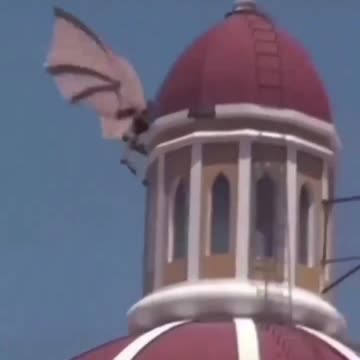 What is this seriously👀👀👌