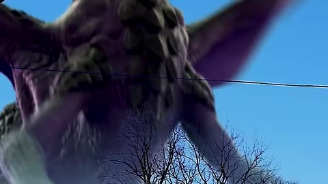 Massive Dragon CAUGHT ON CAMERA
