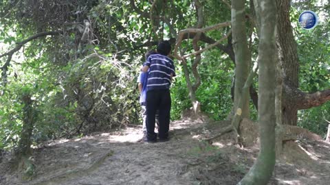 EL AMIGO JONATÁN